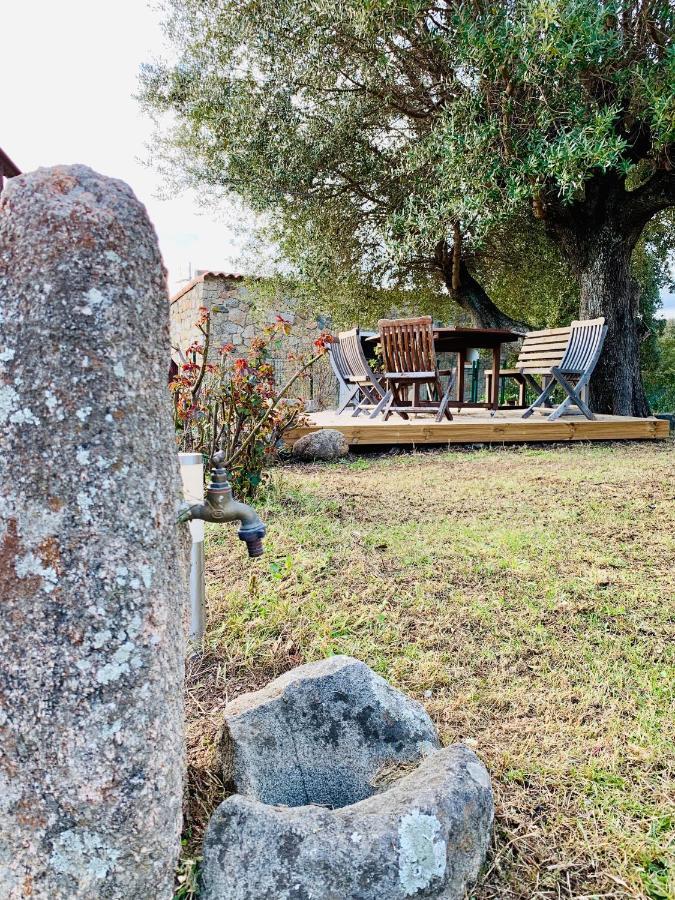 Domaine De Tappa - Casa Filicina Villa Sollacaro Buitenkant foto