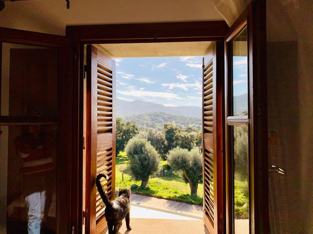 Domaine De Tappa - Casa Filicina Villa Sollacaro Buitenkant foto