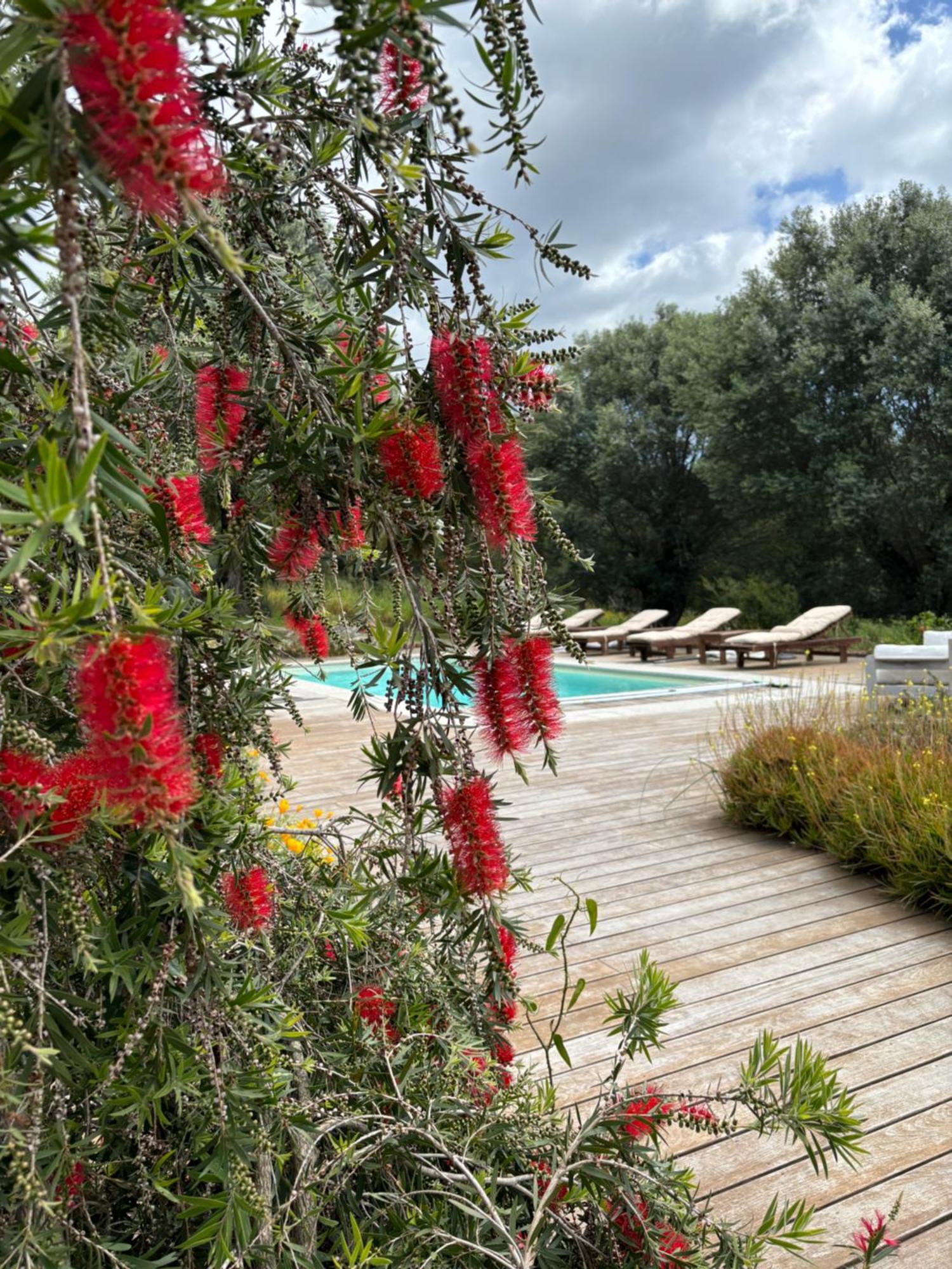 Domaine De Tappa - Casa Filicina Villa Sollacaro Buitenkant foto