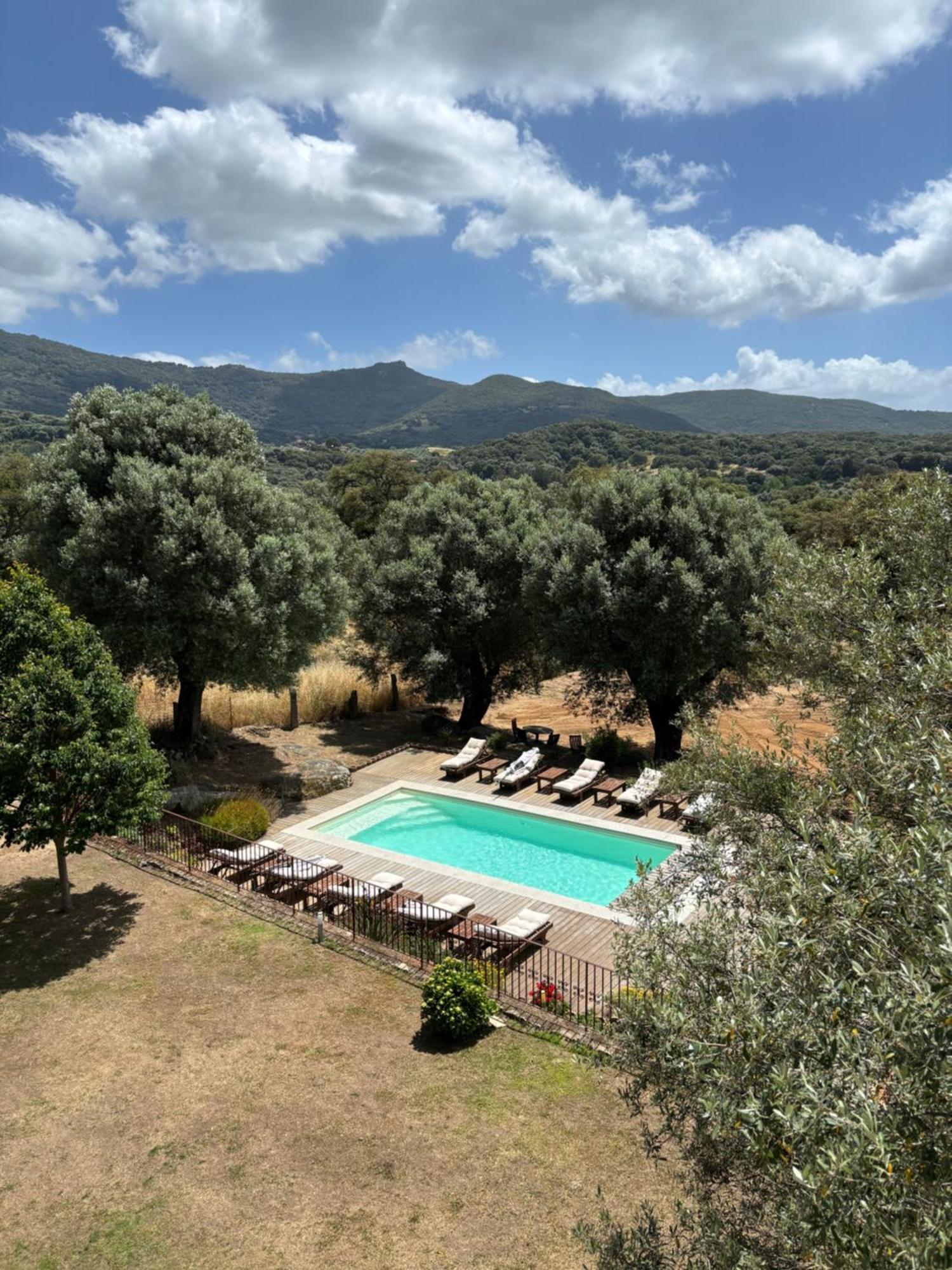 Domaine De Tappa - Casa Filicina Villa Sollacaro Buitenkant foto