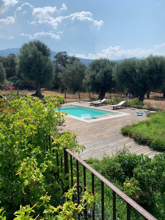 Domaine De Tappa - Casa Filicina Villa Sollacaro Buitenkant foto