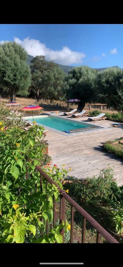 Domaine De Tappa - Casa Filicina Villa Sollacaro Buitenkant foto