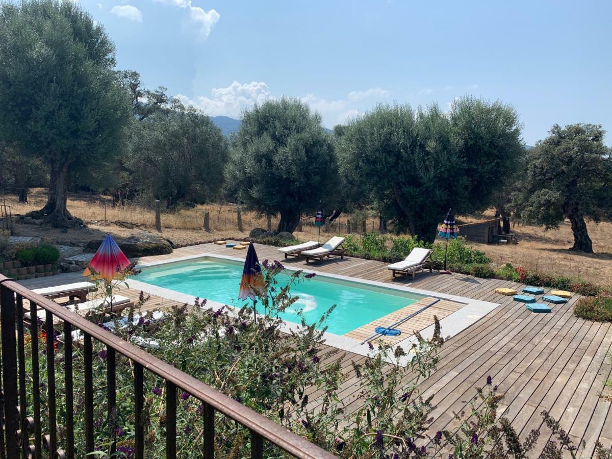Domaine De Tappa - Casa Filicina Villa Sollacaro Buitenkant foto